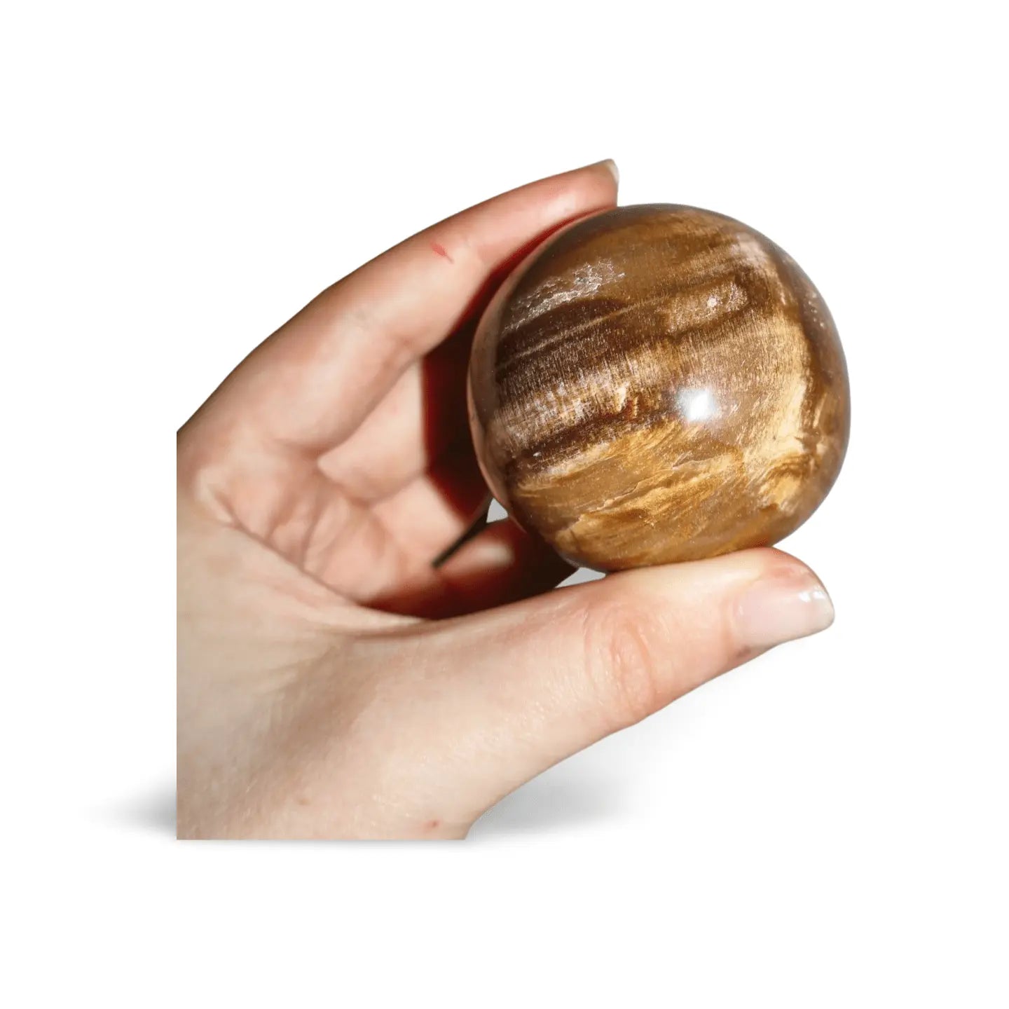 Tiger Eye